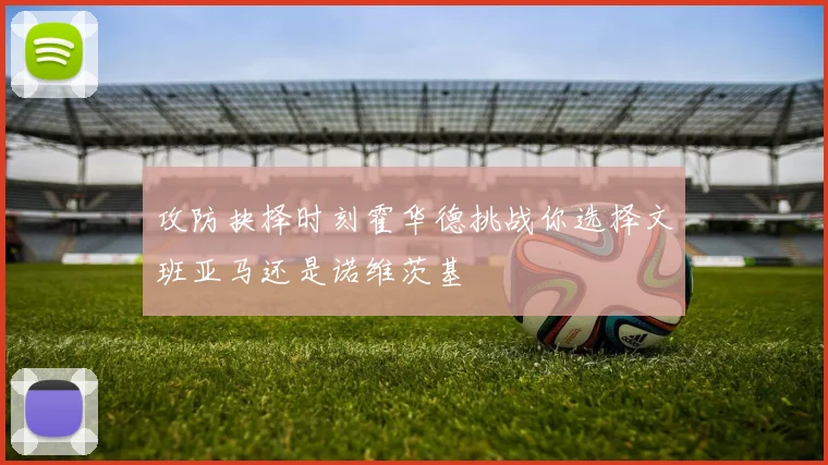 攻防抉择时刻霍华德挑战你选择文班亚马还是诺维茨基