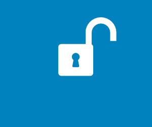 sd-padlock-300x250-v1_0e57